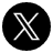 X Icon