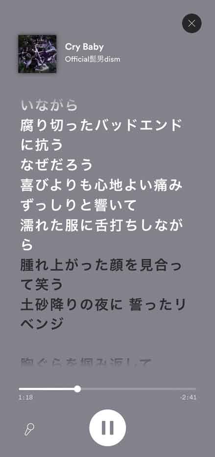 Spotifyで歌詞を見るには 表示されない場合の対策とは Digle Magazine